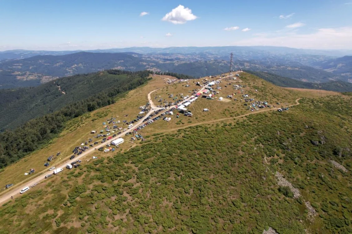 targ de fete gaina alba