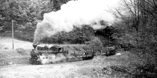 calea ferata din muntii orastie foro ilustrata ebay