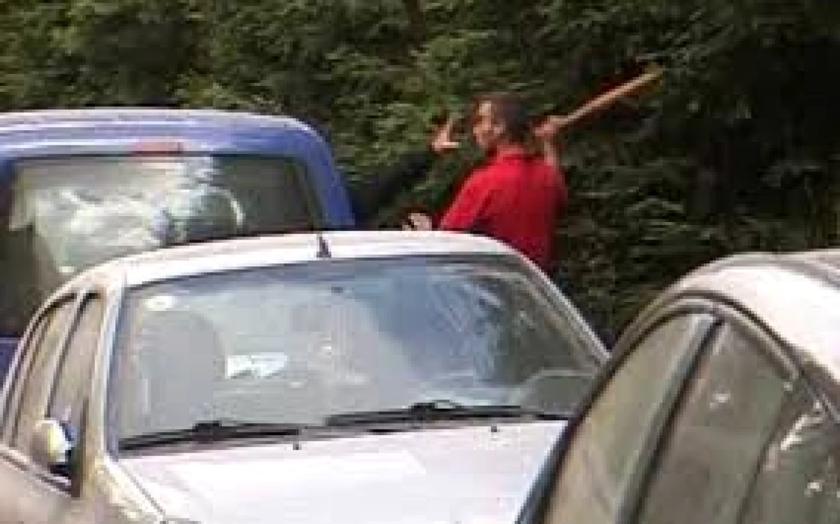 Vâlcean lovit cu un par în cap pe fondul unor neînţelegeri - agresorul acuzat de tentativă de omor Foto Arhiva Adevărul