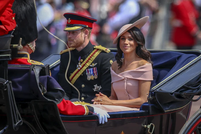 1 h 01186261 jpg jpeg