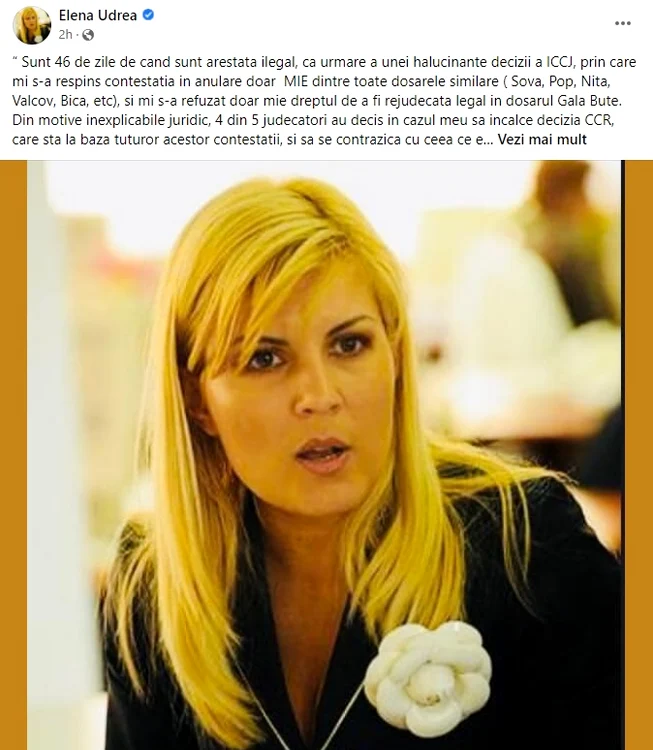 Elena Udrea a protestat prin intermediul Facebook