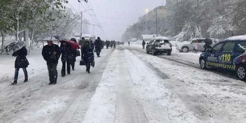 ninsori chisinau foto andrei cibotari