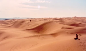 p 20 jpg
