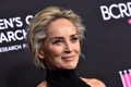 6 sharon stone jpg jpeg