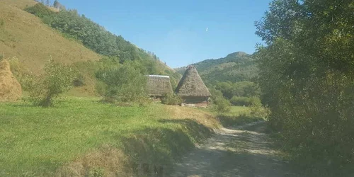 transalpina apuseni catune