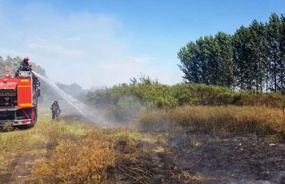 Incendiu la fosta rampă de gunoi a oraşului FOTO Facebook/ISU Călăraşi