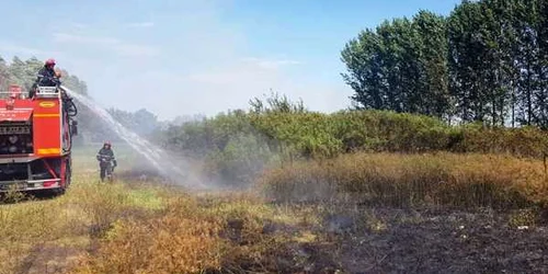 calarasi incendiu