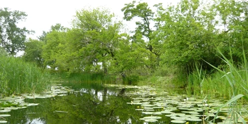 sulina tulcea
