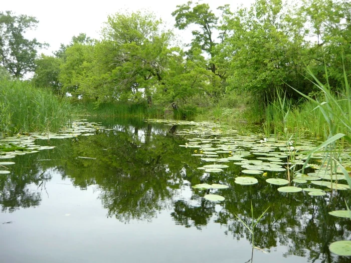 Canal din zona localităţii Sulina FOTO Adevărul