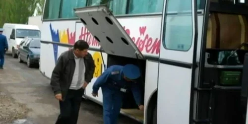 Icrele de contrabandă au fost găsite la postul vamal Criva-Mamaliga