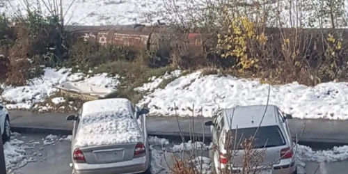 masini fara numere