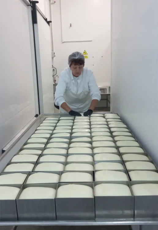 Aici se produc 1,5 tone de caşcaval pe săptămână