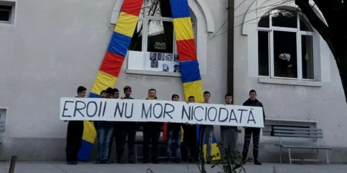 eroi arad