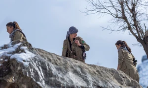 curzi membri PDKI profimedia 1067202385 jpg