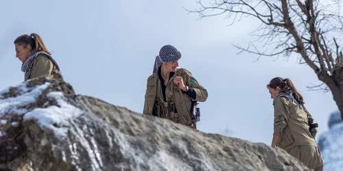 curzi membri PDKI profimedia 1067202385 jpg