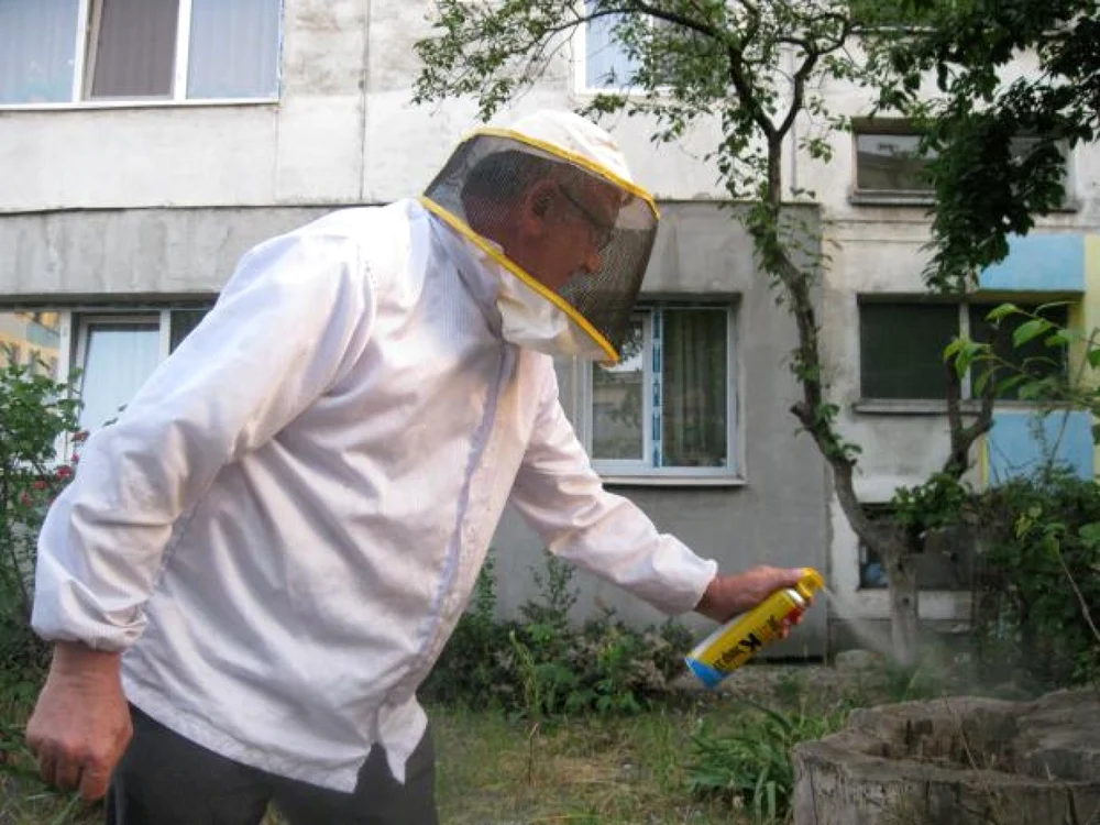 Reprezentanţii Poliţiei Animalelor au venit să caute bărzăunii asiatici