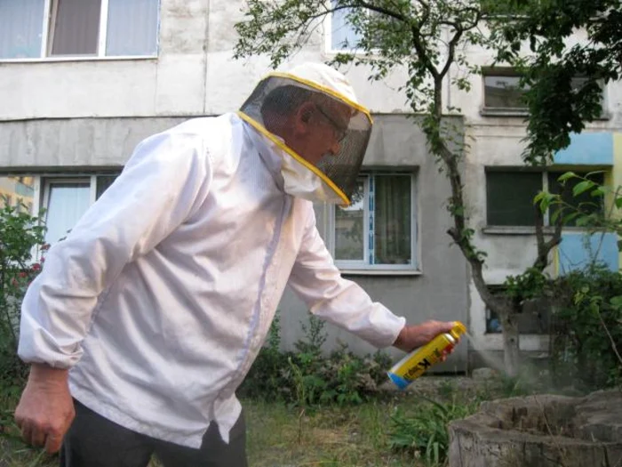 Reprezentanţii Poliţiei Animalelor au venit să caute bărzăunii asiatici