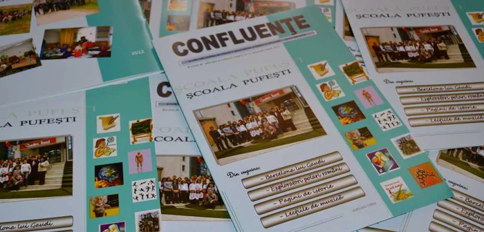 Revista Confluenţe