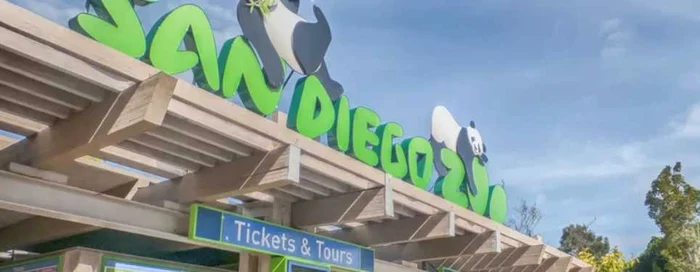 San Diego Zoo - cea mai mare Grădină Zoologică din SUA, vizitată online pe timpul pandemiei de coronavirus Foto Facebook San Diego Zoo