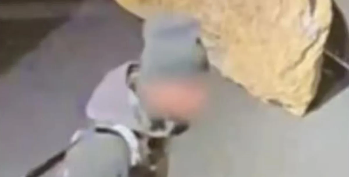 Un român s-a furișat în Muzeul Drents înainte de furtul Coifului de la Coţofeneşti: posibila implicare a acestuia în pregătirea jafului