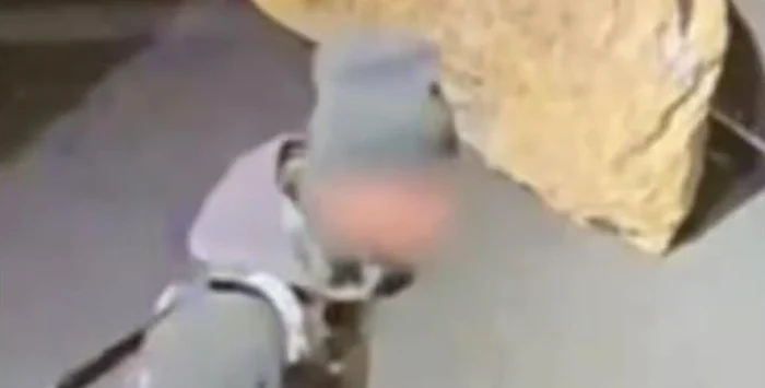 Românul a fost suprins de camerele video ale muzeului olandez. FOTO: RTLNieuws