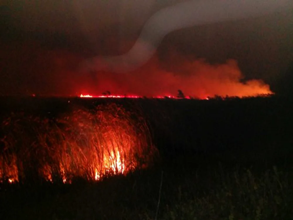 
    Incendiul a mistuit 10 hectare de vegetaţie la Mila 23Foto: arhivă personală  