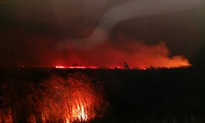 incendiu jpeg