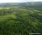 Pestera Găunoasa Hunedoara Foto Daniel Guță ADEVĂRUL (50) JPG