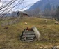 Satul Răscoala din Hunedoara Foto Daniel Guță ADEVĂRUL (2) jpg