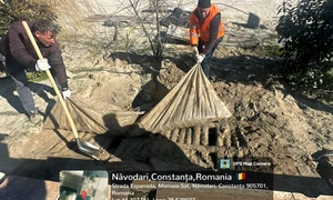 Fose septice îngropate în nisip foto diana buzoianu png