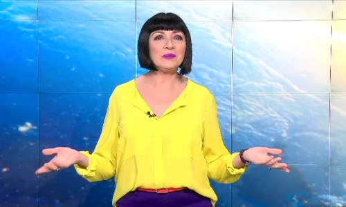 NETI SANDU png