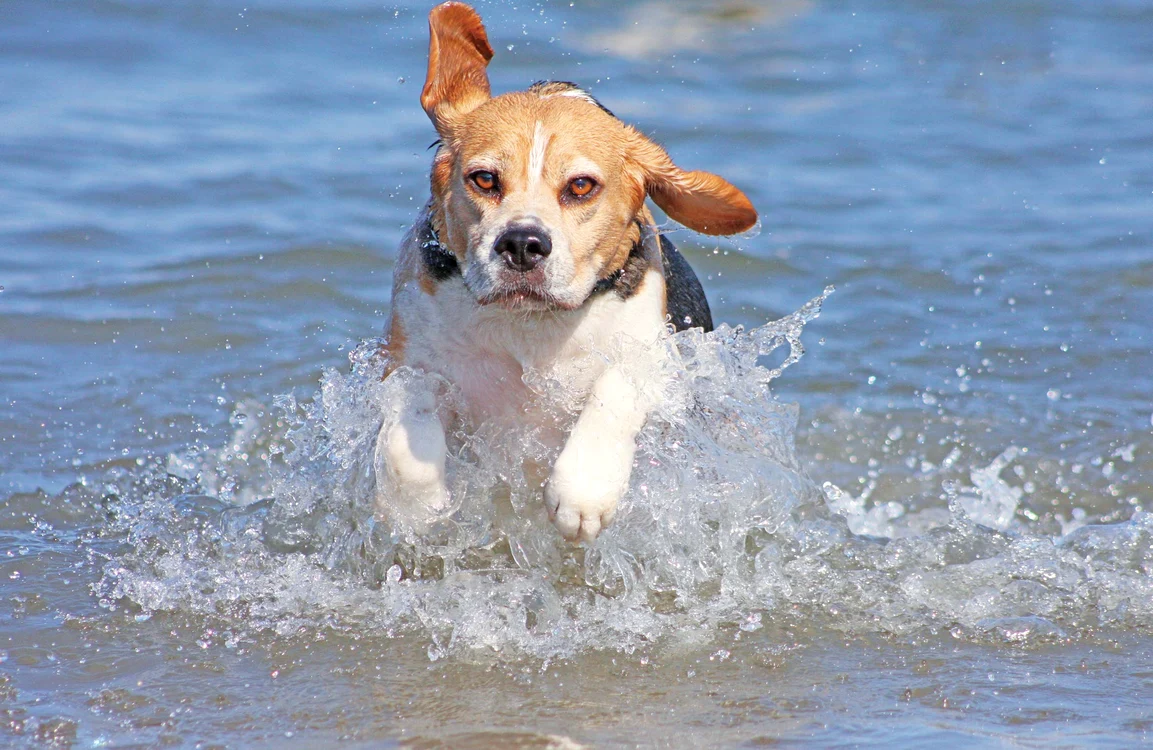 FOTO: Shutterstock