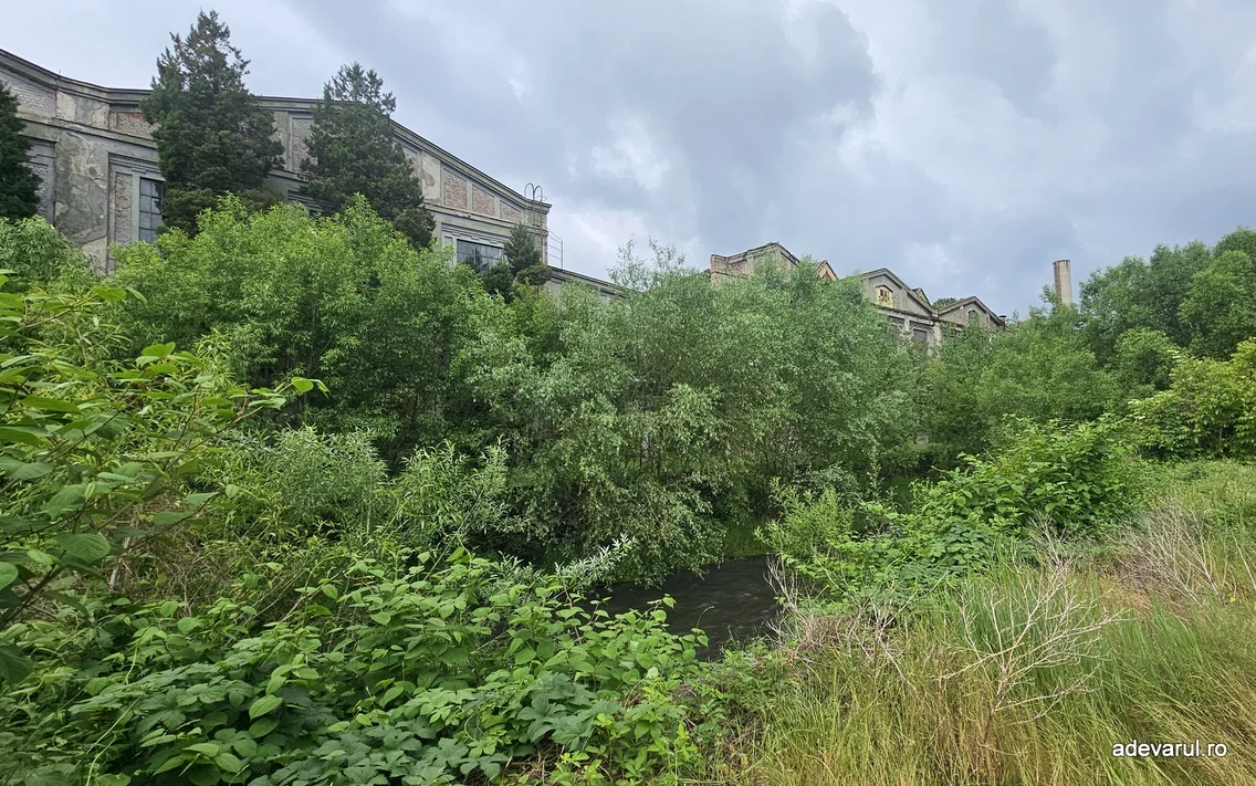 Municipiul Reșița, mai 2026  Foto Daniel Guță ADEVĂRUL (49) jpg