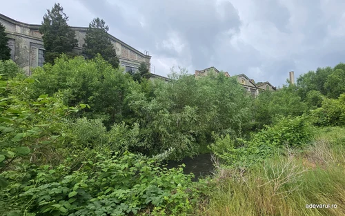 Municipiul Reșița, mai 2026  Foto Daniel Guță ADEVĂRUL (49) jpg