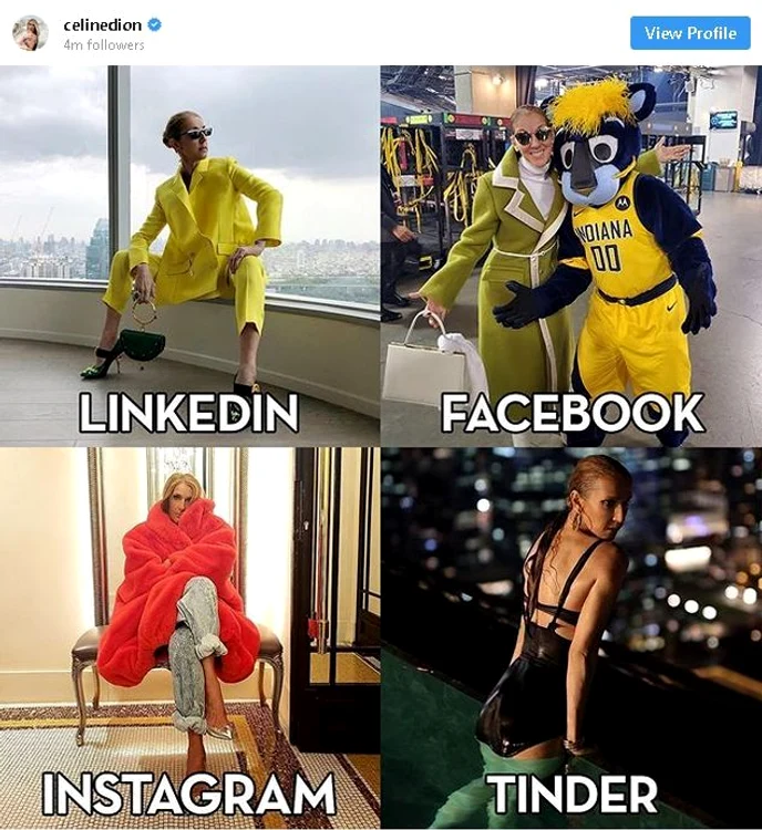 celine dion jpg jpeg