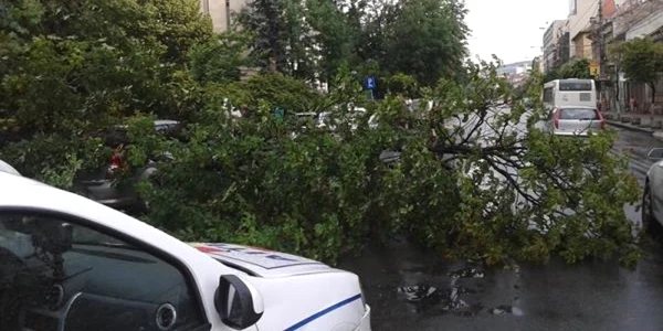 furtuna cluj foto