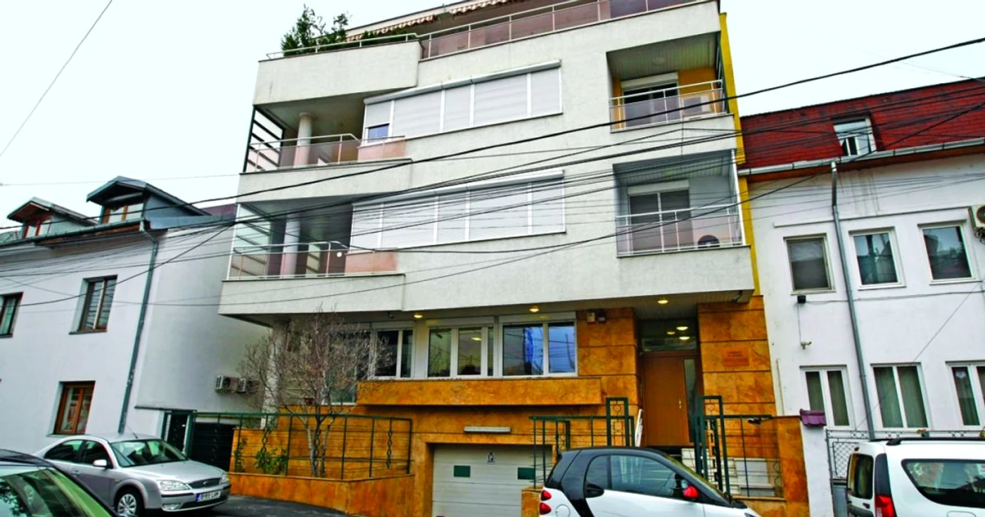 vila Oprescu 1