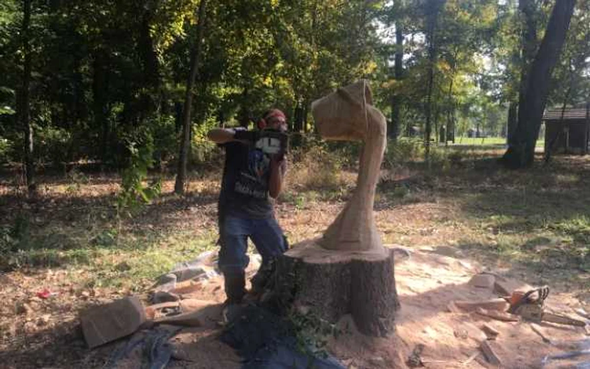 Artistul transformă copacii bătrâni în adevărate opere de artă
