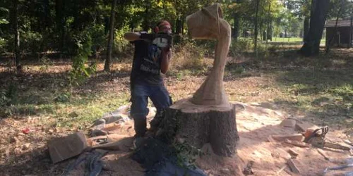 Artistul transformă copacii bătrâni în adevărate opere de artă