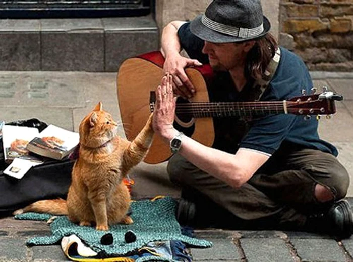 Motanul Bob şi James Bowen au devenit cei mai buni prieteni. (sursa foto: bookaholic.ro)