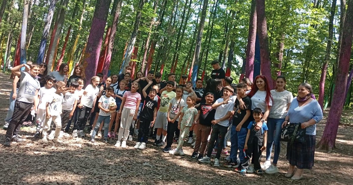 Prinmiii Ministerul Educației lansează PRIMII, un program în care vor fi incluși ...