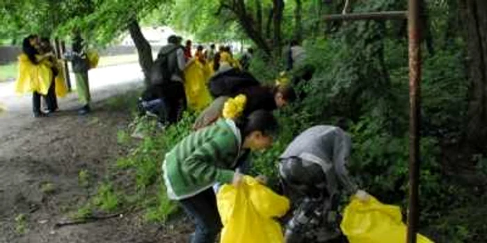 Acţiune de ecologizare