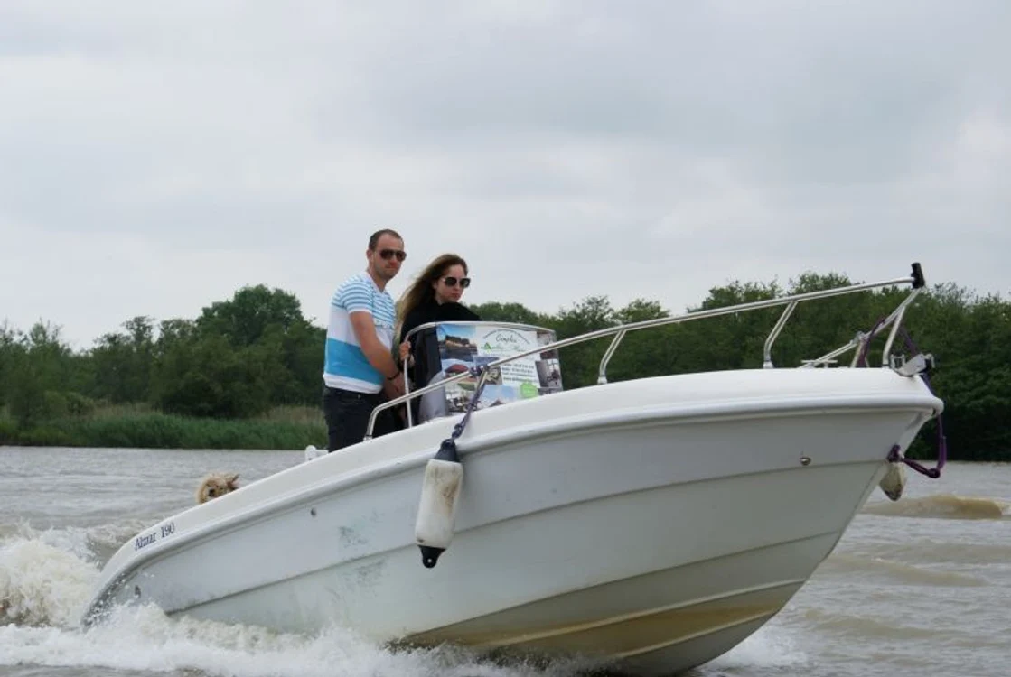 
    Anca Badiu  