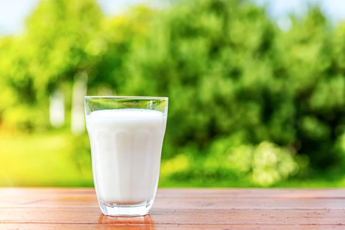 gustul laptelui de vacă vara  jpg