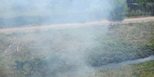 incendiu vegetatie anl