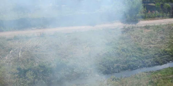 incendiu vegetatie anl