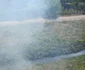 incendiu vegetatie anl