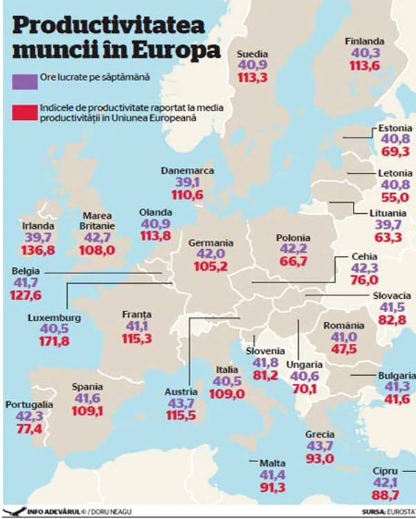 infografie