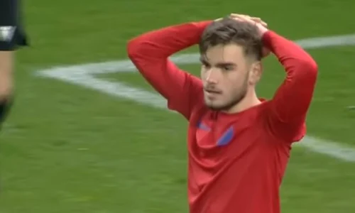 robert necsulescu jpg