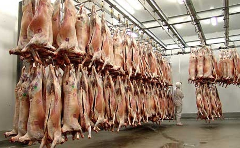 Interlopii au pus ochii pe crescătorii de animale. Escrocii își racolează victimele de pe paginile de comerț online 